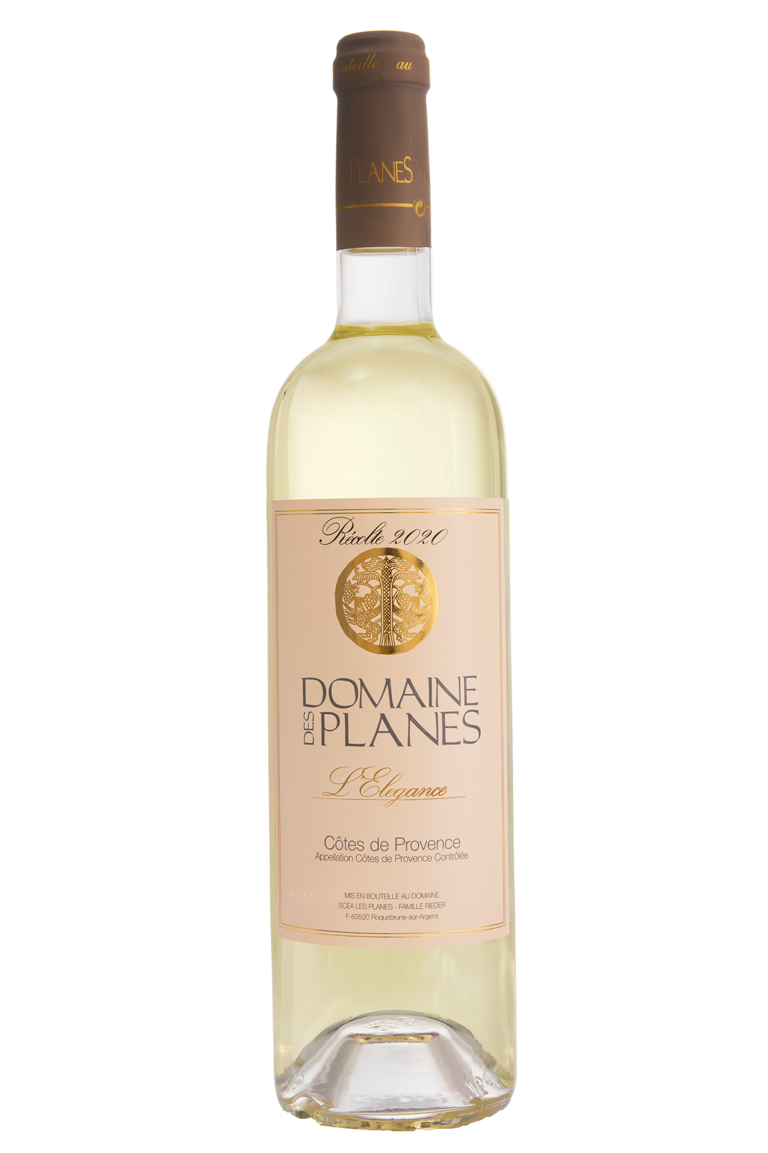 2020_pngPlanes-Elegance-blanc